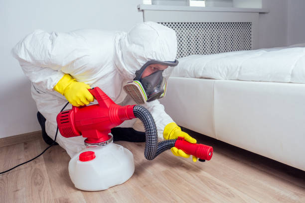 Best Fumigation Services  in Villa Park, CA